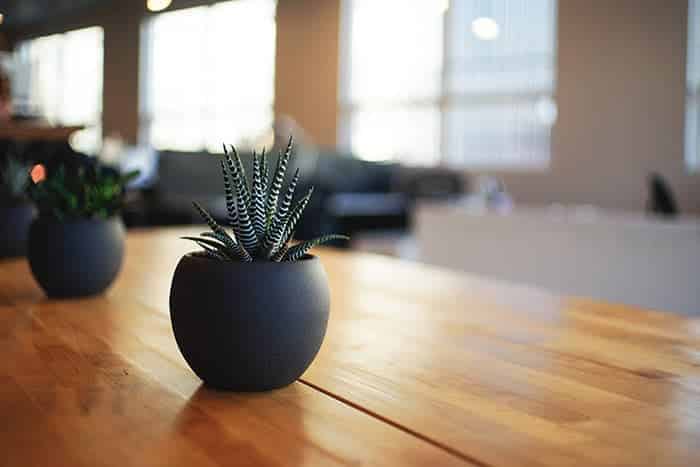 a closeup of black plant pot with a plant in it sitting on a wooden table